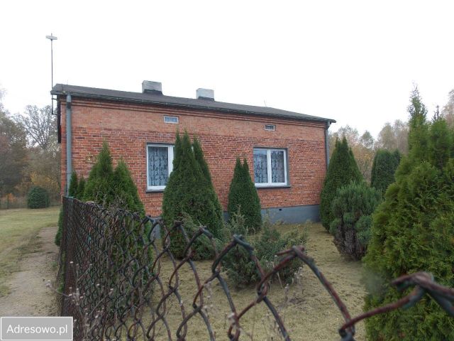 dom wolnostojący, 4 pokoje Grzeszyn, Grzeszyn. Zdjęcie 1