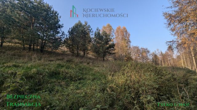 Działka inwestycyjna Głodowo. Zdjęcie 7