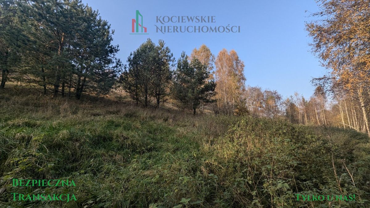 Działka inwestycyjna Głodowo. Zdjęcie 7