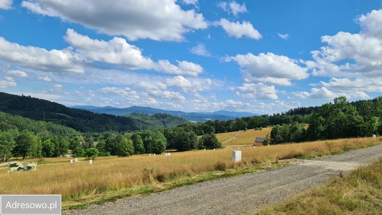 Działka budowlana Wilcza