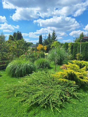Działka rod Jastrzębie-Zdrój, ul. Wojciecha Korfantego. Zdjęcie 4