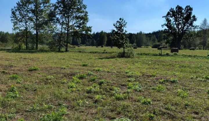 Działka budowlana Cięciwa, ul. Mazowiecka