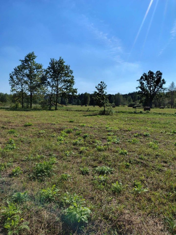 Działka budowlana Cięciwa, ul. Mazowiecka