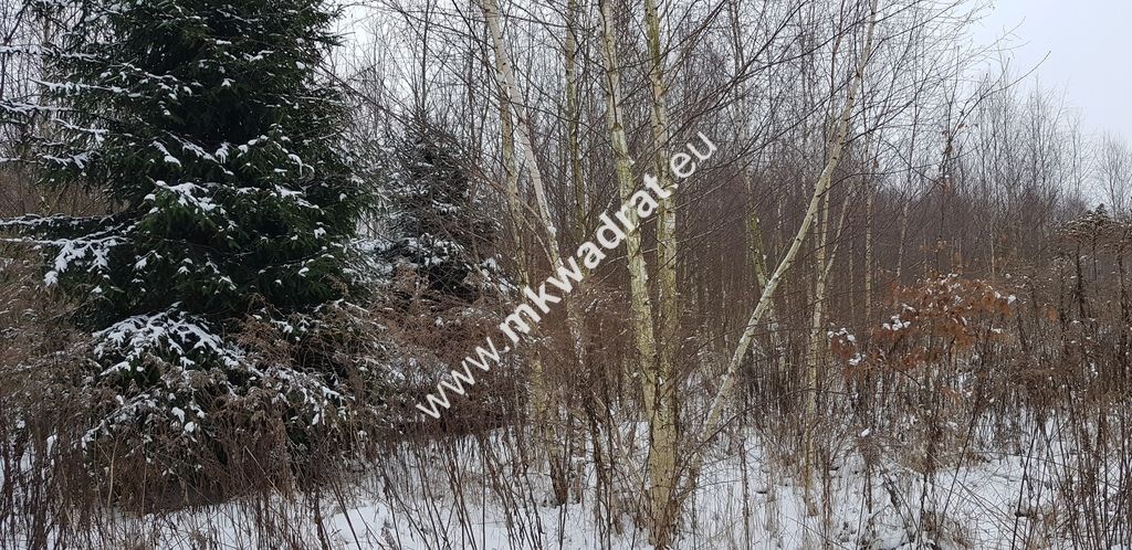 Działka inwestycyjna Marków-Towarzystwo. Zdjęcie 1