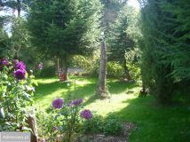 Działka rod Warszawa Mokotów, ul. Dłutowska. Zdjęcie 1