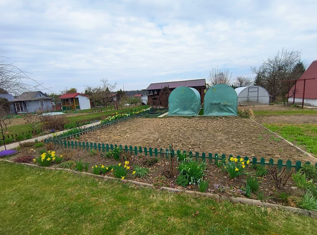 Działka rod Świdnik. Zdjęcie 4