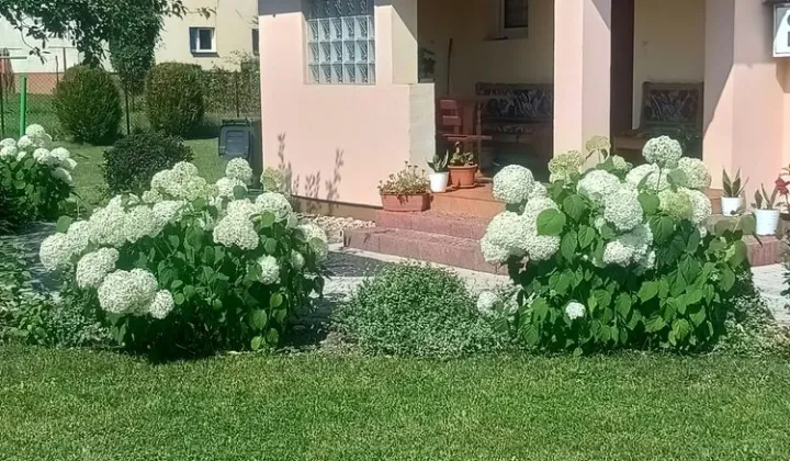 bliźniak Włoszczowa, ul. Kolejowa