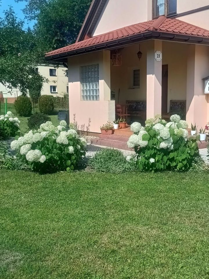 bliźniak Włoszczowa, ul. Kolejowa. Zdjęcie 1