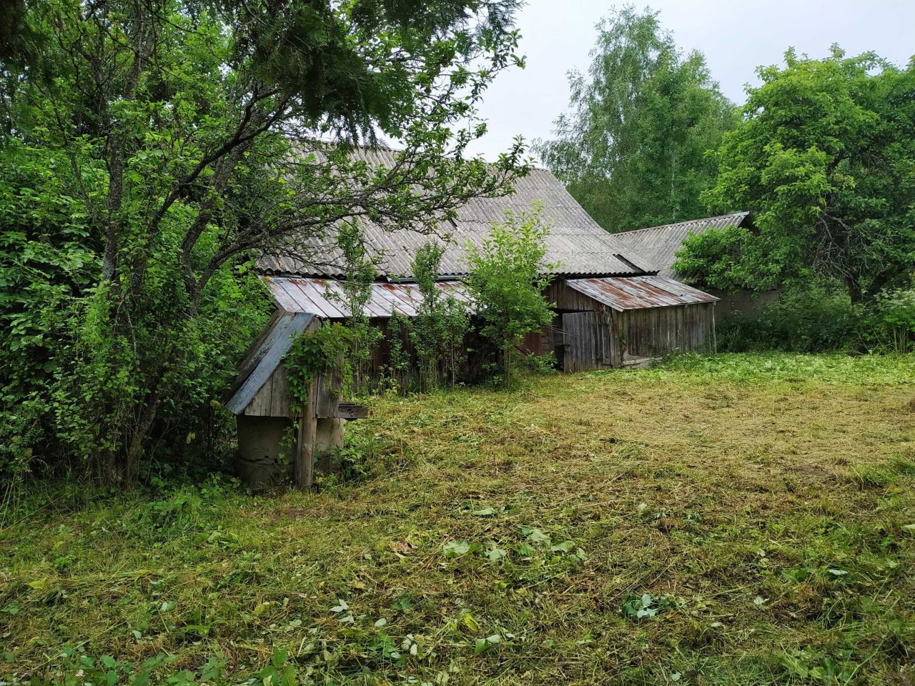 Działka siedliskowa Kalwińszczyzna. Zdjęcie 4