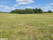 Działka budowlana Borowe. Zdjęcie 1