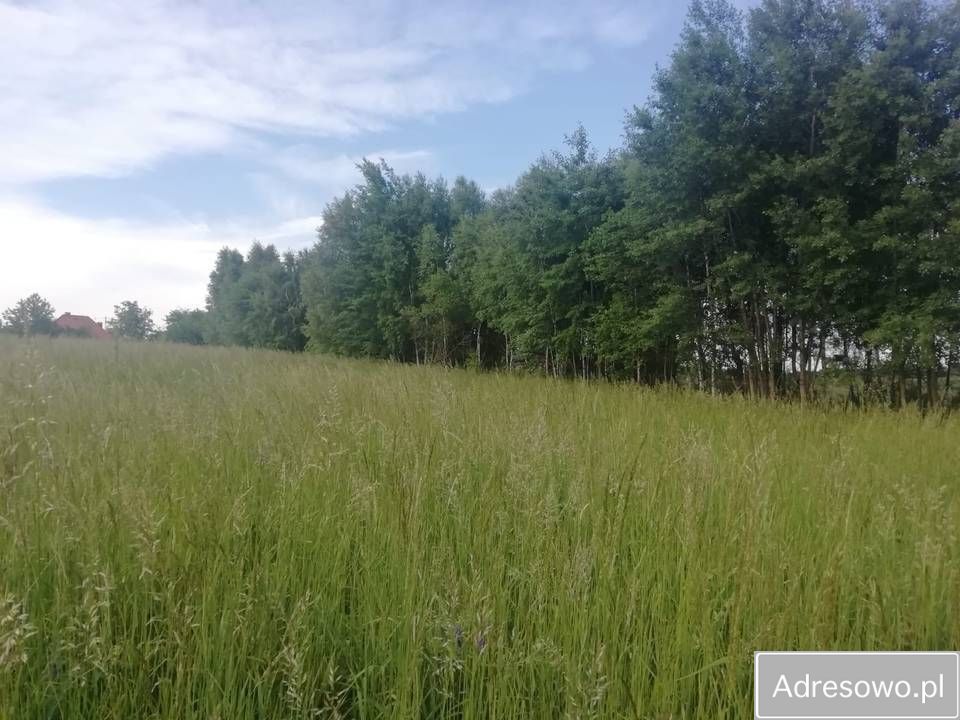 Działka rolna Cisów