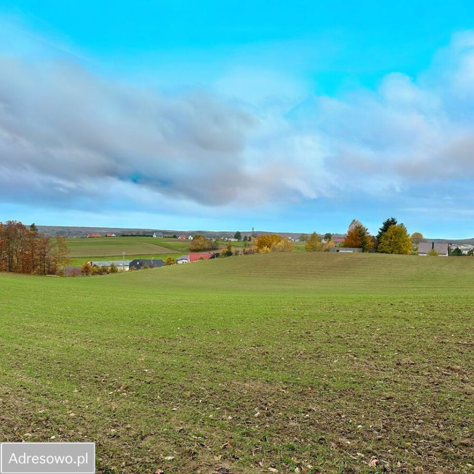 dom wolnostojący, 5 pokoi Przodkowo, ul. Podgórna. Zdjęcie 9