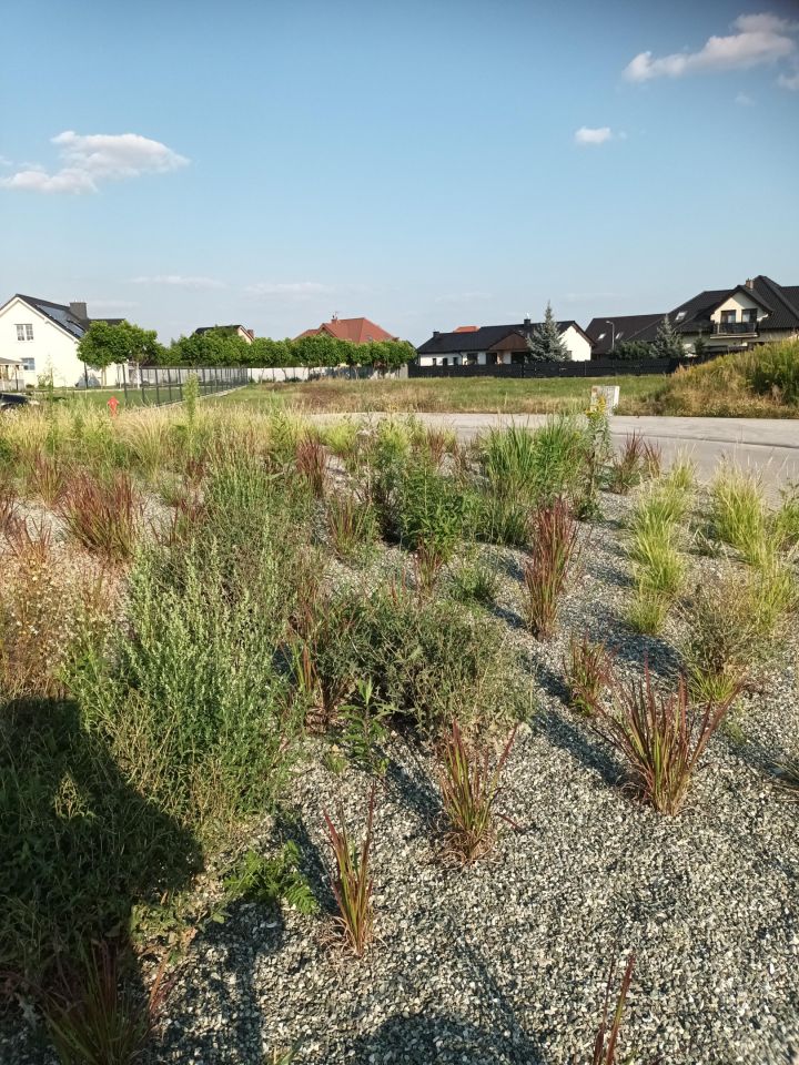 Działka budowlana Oleśnica, ul. Belgijska. Zdjęcie 8