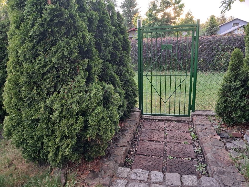 Działka rod Siemianowice Śląskie. Zdjęcie 4