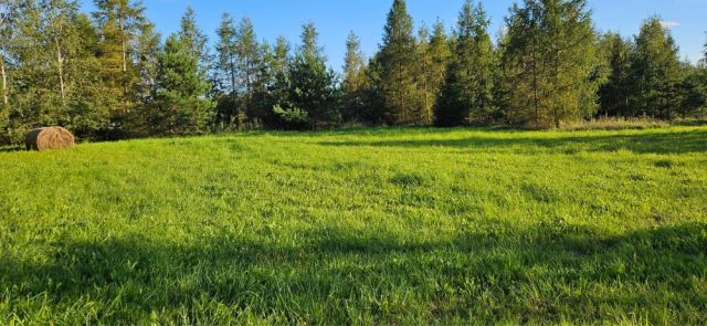 Działka rekreacyjna Giże. Zdjęcie 1