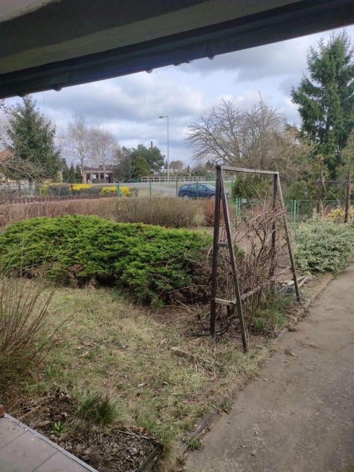 Działka rod Leszno. Zdjęcie 3