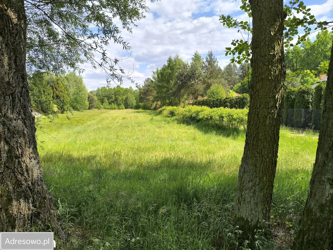 Działka budowlana Józefów. Zdjęcie 12