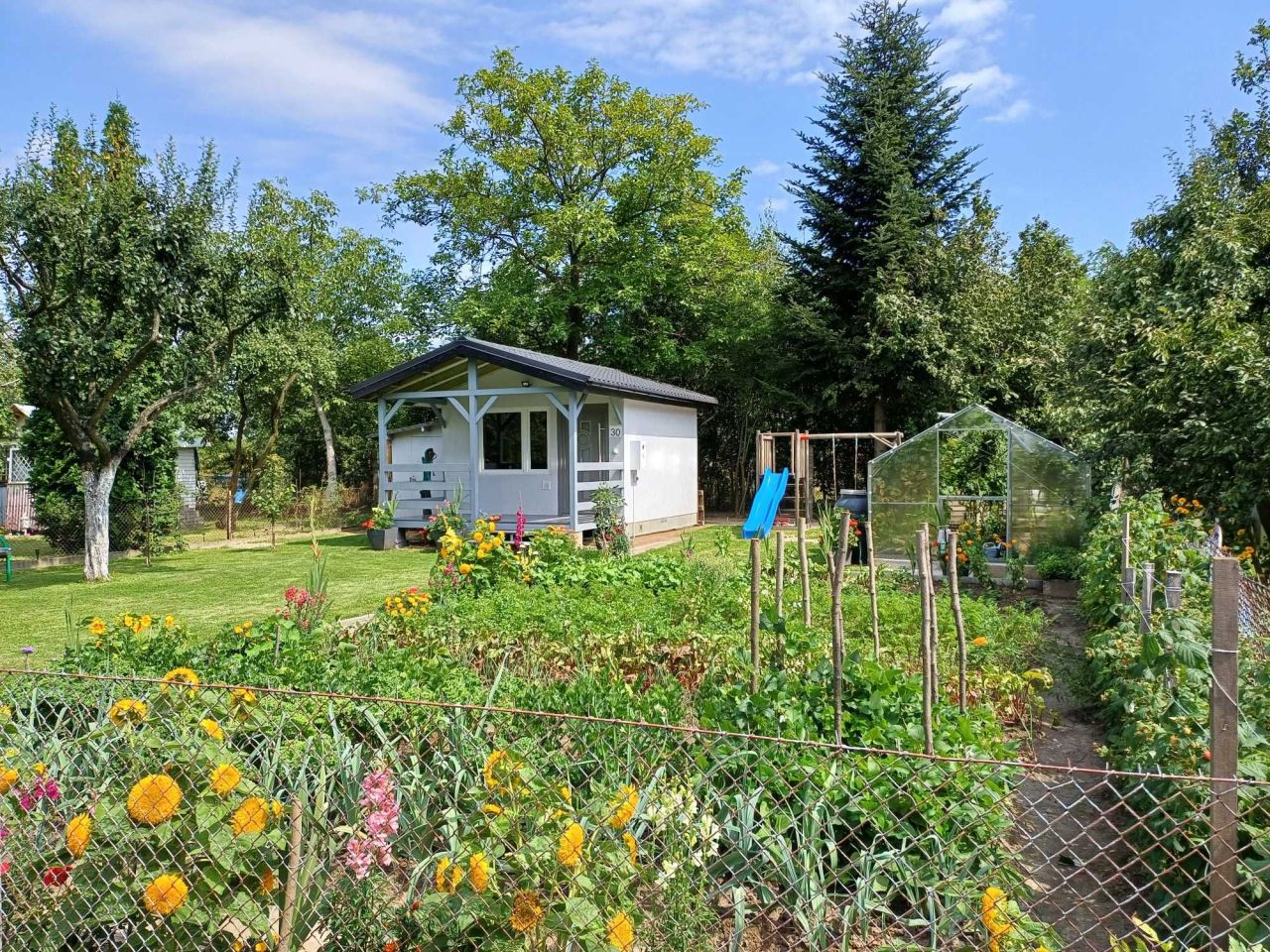 Działka rod Głuchołazy, ul. Powstańców Śląskich. Zdjęcie 5