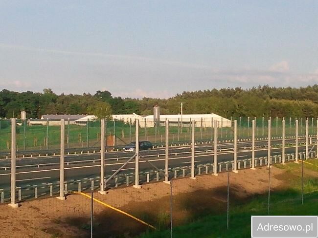 Działka inwestycyjna Skwierzyna. Zdjęcie 6