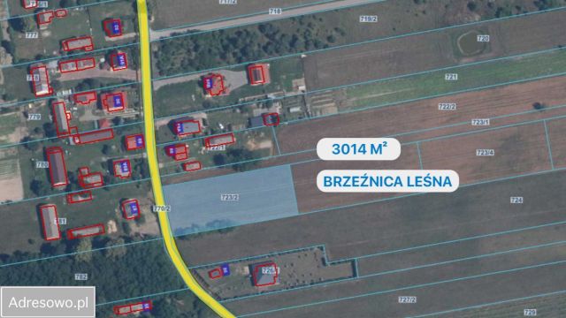 Działka budowlana Brzeźnica Leśna. Zdjęcie 1