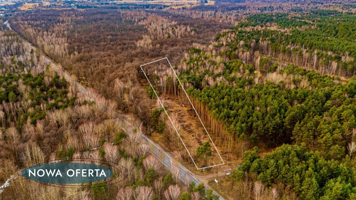 Działka leśna Załuże. Zdjęcie 6
