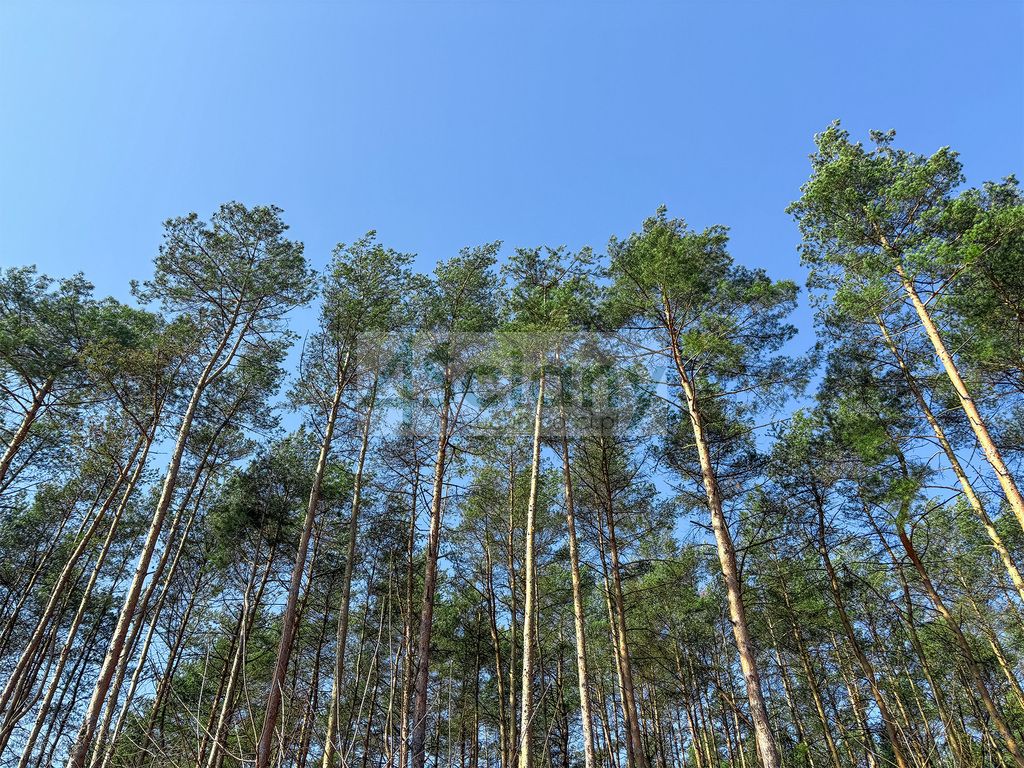 Działka budowlana Ojrzanów. Zdjęcie 9