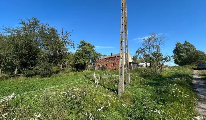 Działka rolna Jeżewo