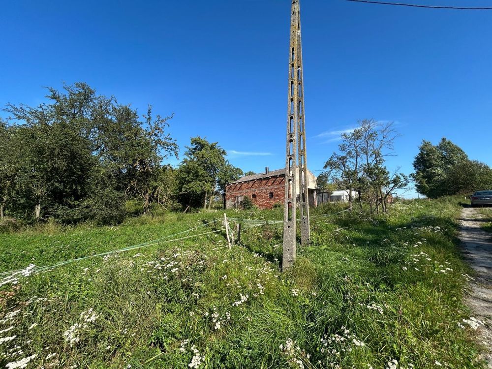 Działka rolna Jeżewo. Zdjęcie 1