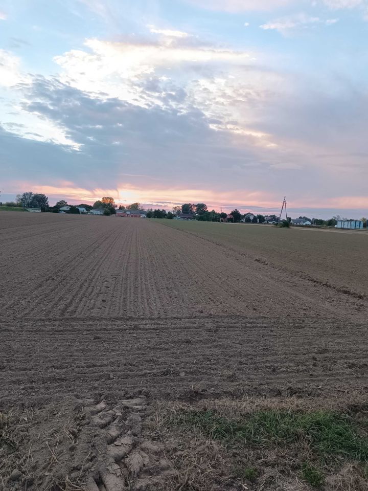 Działka rolno-budowlana Gołąb. Zdjęcie 3