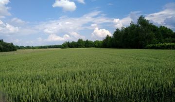 Działka rolno-budowlana Tarnów