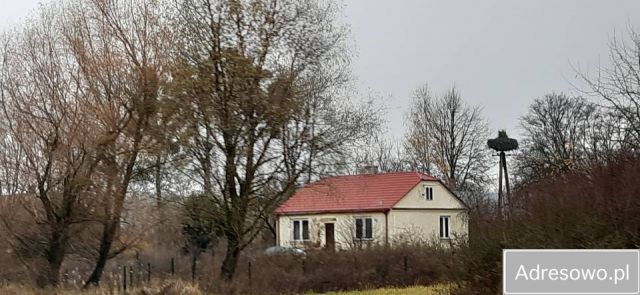 Działka siedliskowa Ignatów-Kolonia. Zdjęcie 1