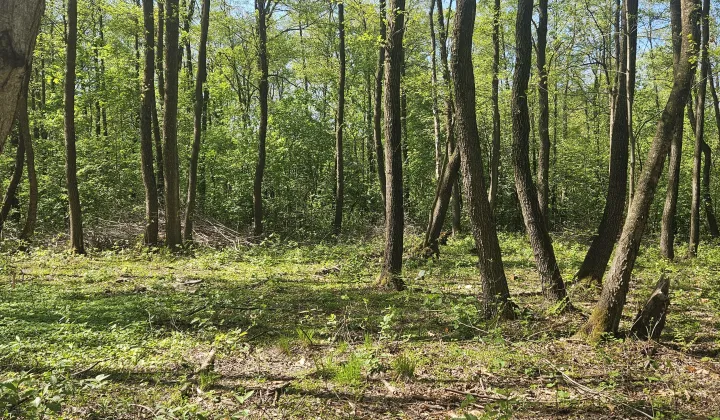 Działka rolno-budowlana Mościska, ul. Radziejowicka