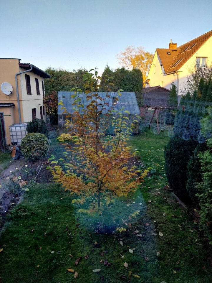 dom wolnostojący Bytów. Zdjęcie 4