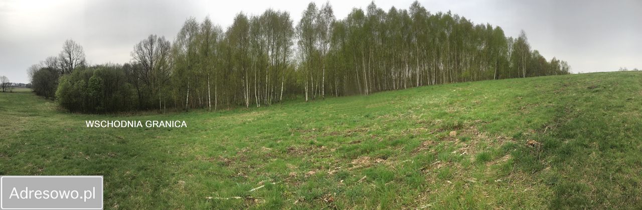 Działka inna Siemczyno. Zdjęcie 2