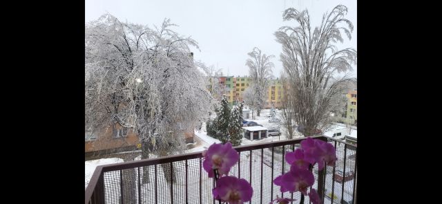 Mieszkanie 2-pokojowe Wałbrzych Piaskowa Góra, ul. Ksawerego Dunikowskiego. Zdjęcie 14