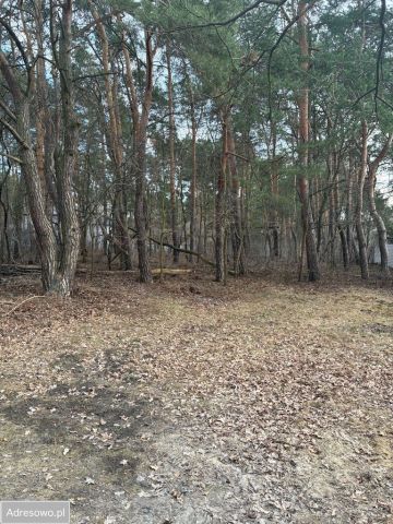 Działka inwestycyjna Józefów, ul. Werbeny. Zdjęcie 1