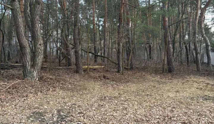 Działka budowlana Józefów, ul. Werbeny