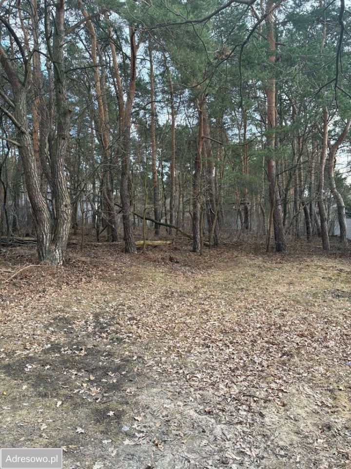 Działka inwestycyjna Józefów, ul. Werbeny. Zdjęcie 1