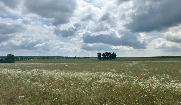 Działka budowlana Bolesławiec