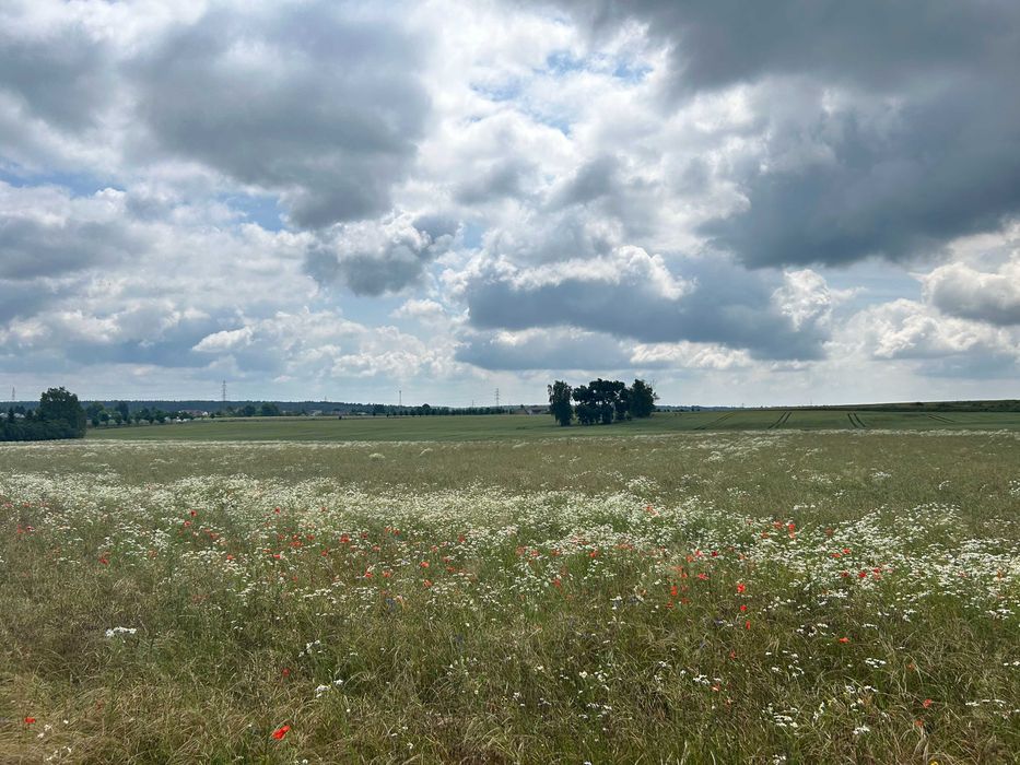 Działka budowlana Bolesławiec. Zdjęcie 1