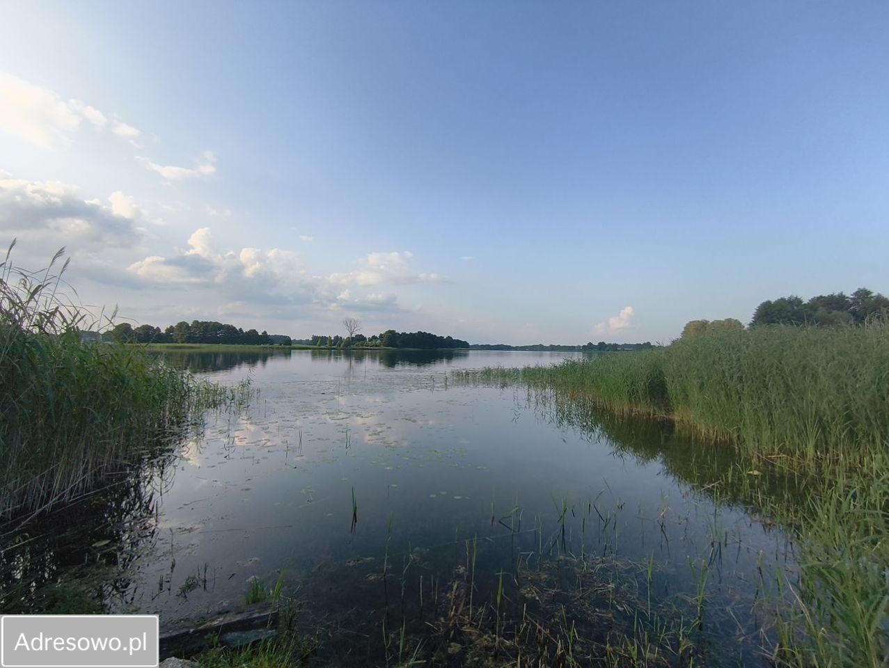 Działka siedliskowa Dreństwo. Zdjęcie 3