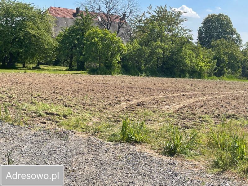 Działka rolno-budowlana Dobroszów. Zdjęcie 7