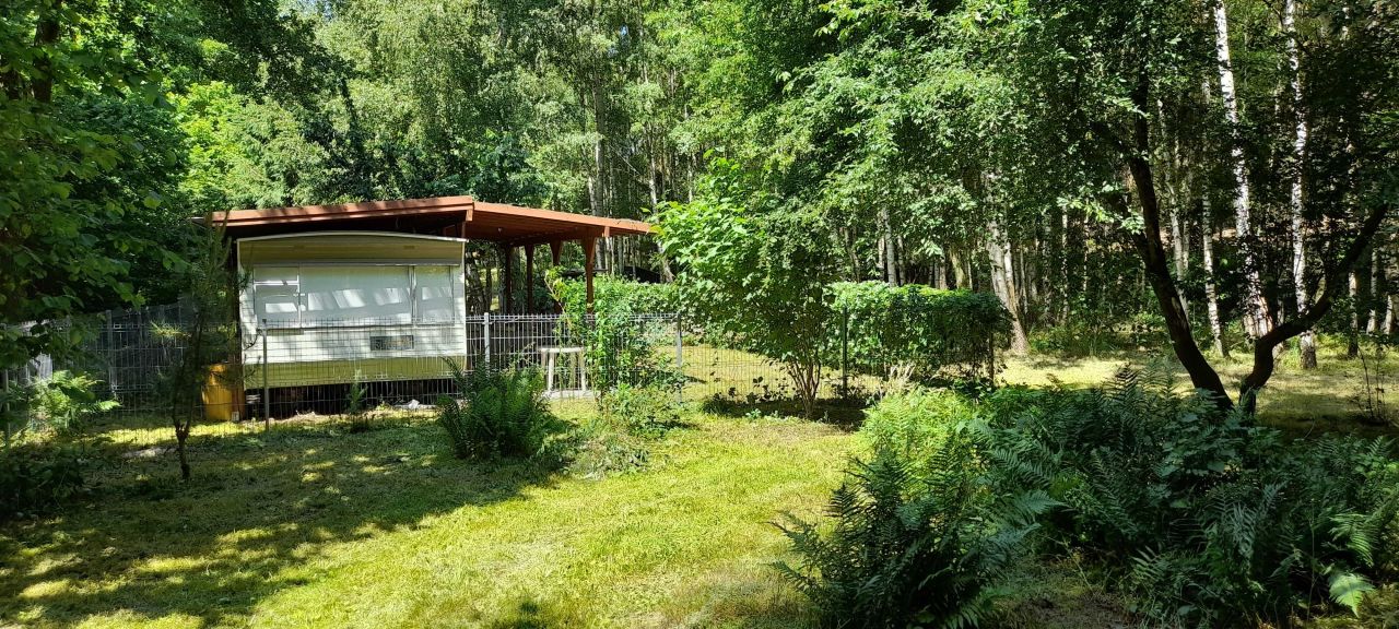 Działka rekreacyjna Stołuń. Zdjęcie 2