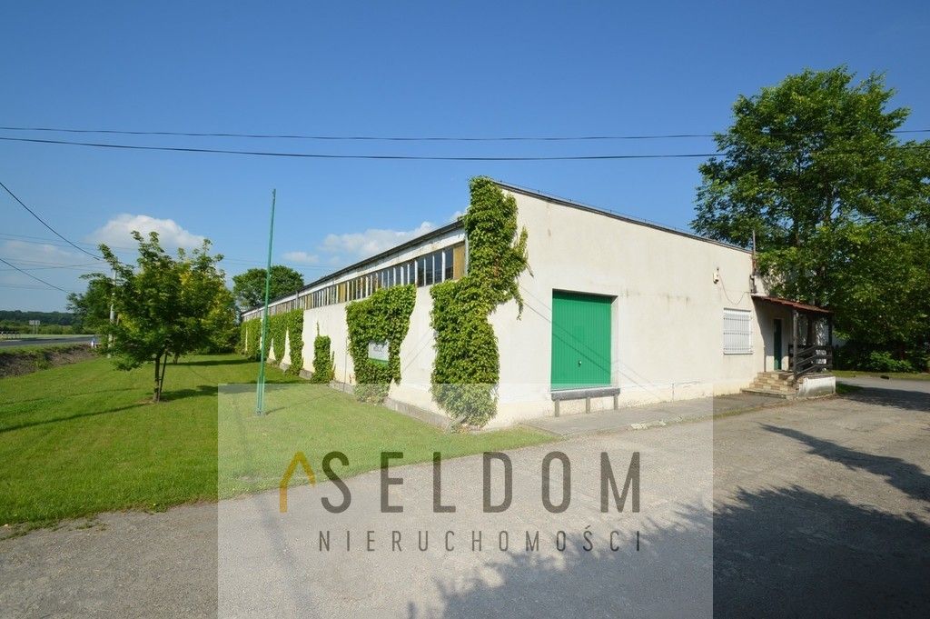 Lokal Prószków. Zdjęcie 17