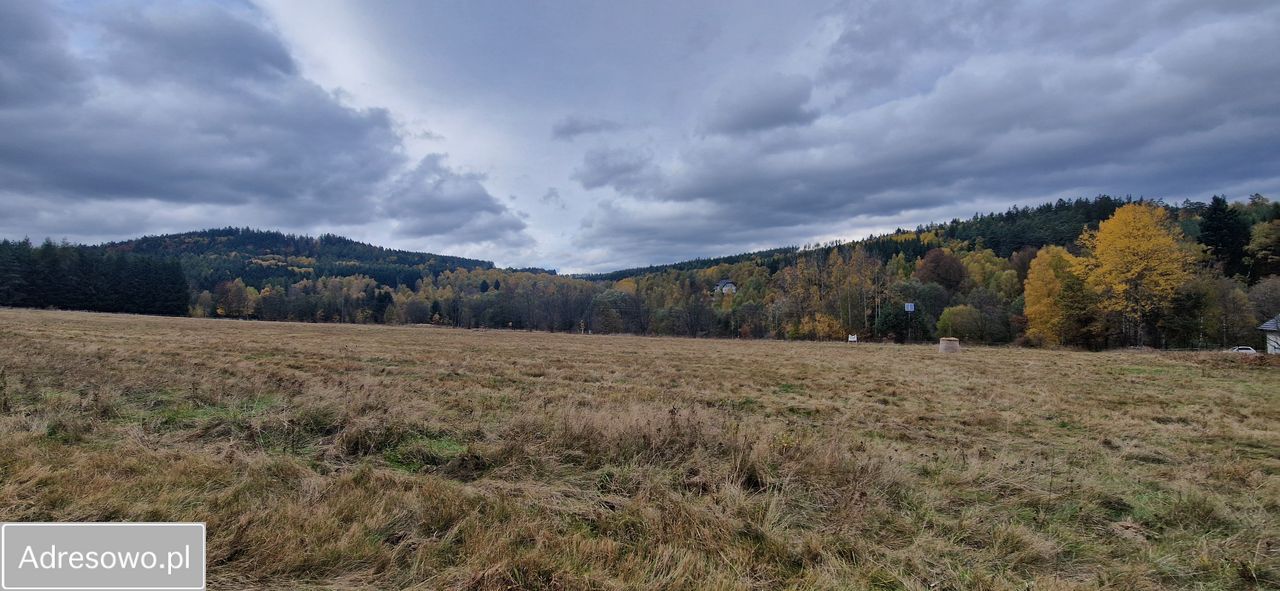 Działka budowlana Chocieszów. Zdjęcie 7