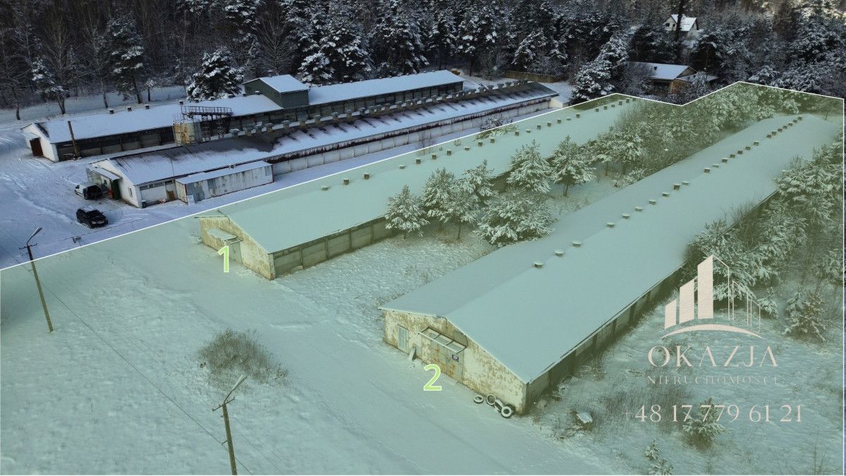 Działka inwestycyjna Wysoka Głogowska. Zdjęcie 3