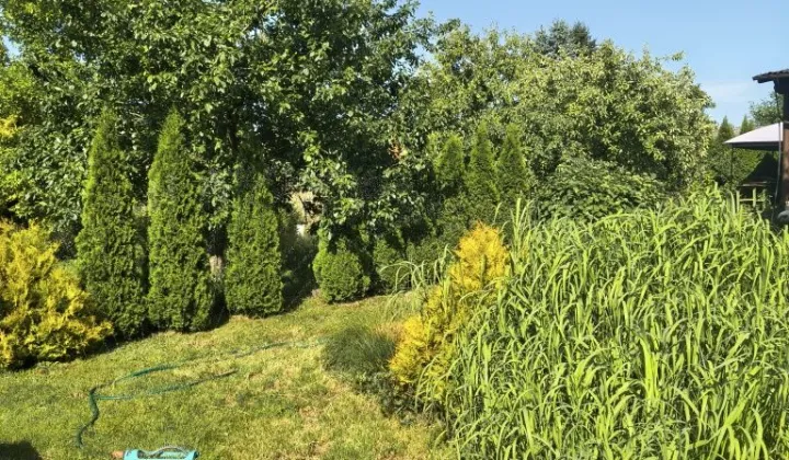 Działka rod Śrem, ul. Józefa Chełmońskiego