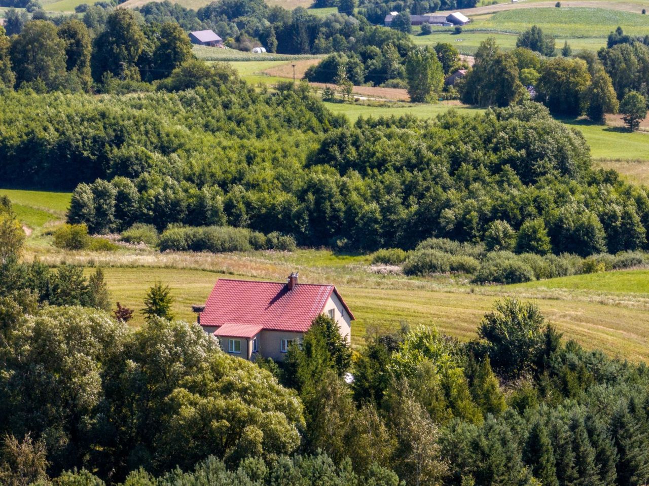 dom wolnostojący, 5 pokoi Dębowo. Zdjęcie 3