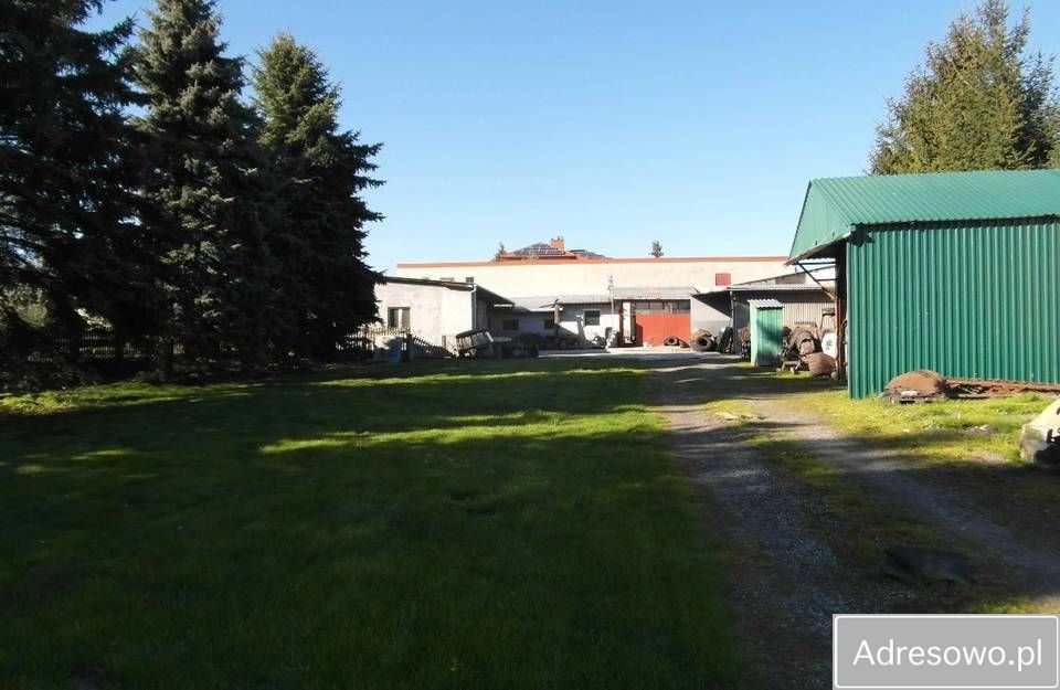 gospodarstwo Kalinowice. Zdjęcie 4