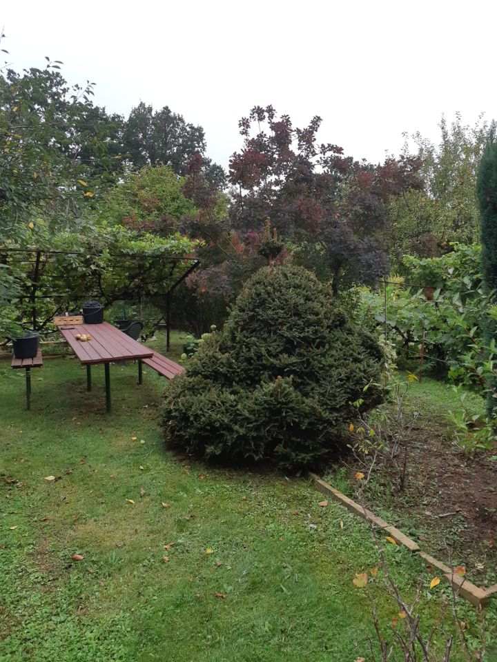 Działka rod Zielona Góra Centrum, ul. Andrzeja Struga. Zdjęcie 9